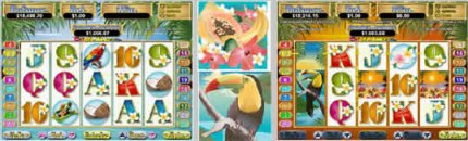 Silver Sands Triple Toucan Video Slots